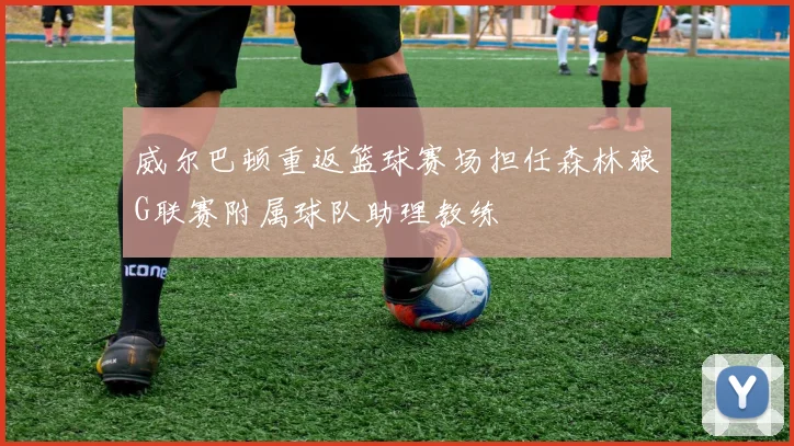 威尔巴顿重返篮球赛场担任森林狼G联赛附属球队助理教练