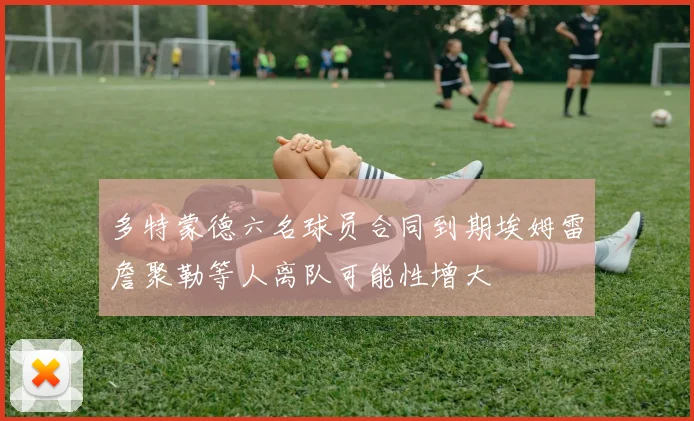 多特蒙德六名球员合同到期埃姆雷詹聚勒等人离队可能性增大