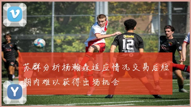 苏群分析杨瀚森适应情况交易后短期内难以获得出场机会