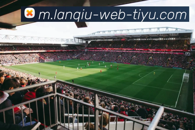 篮球赌注发展历程